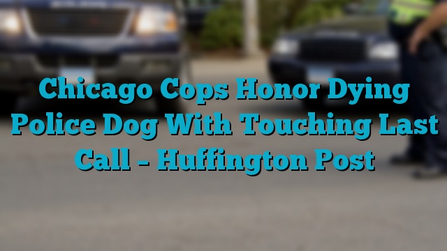 Chicago Cops Honor Dying Police Dog With Touching Last Call – Huffington Post