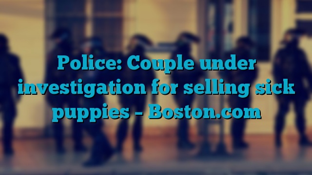 Police: Couple under investigation for selling sick puppies – Boston.com