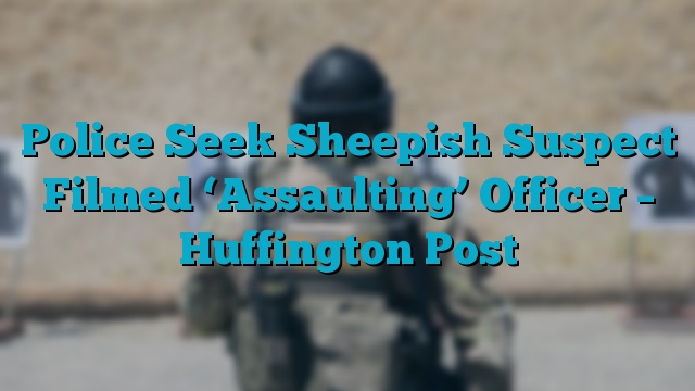 Police Seek Sheepish Suspect Filmed ‘Assaulting’ Officer – Huffington Post