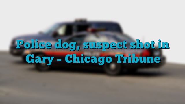 Police dog, suspect shot in Gary – Chicago Tribune