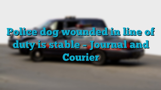 Police dog wounded in line of duty is stable – Journal and Courier