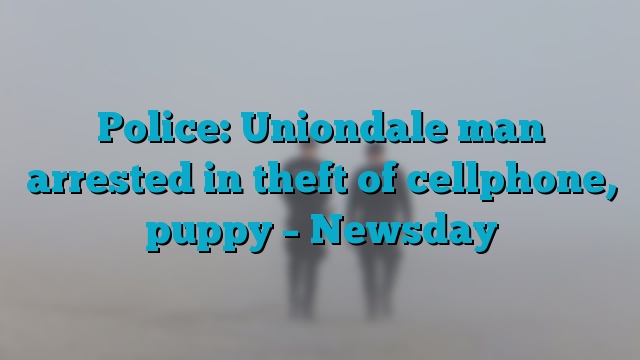 Police: Uniondale man arrested in theft of cellphone, puppy – Newsday